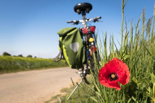 Stehendes Fahrrad an einem Wiesenrand