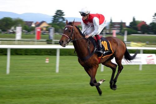 Jockey mit galoppierendem Pferd auf Rennbahn in Iffezheim